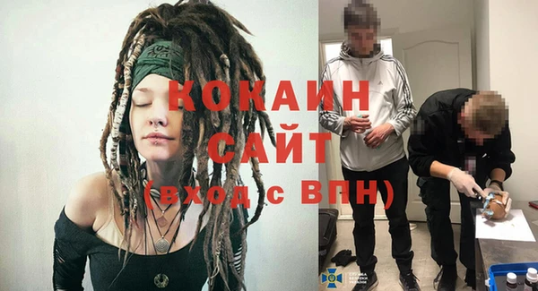 трава Аркадак