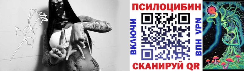 Псилоцибиновые грибы мицелий  ОМГ ОМГ ссылка  Белокуриха 
