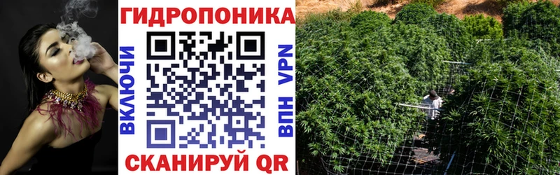 Конопля семена где найти наркотики Белокуриха